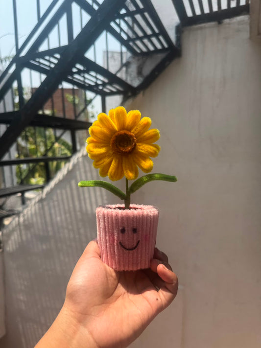 Sunflower Pot